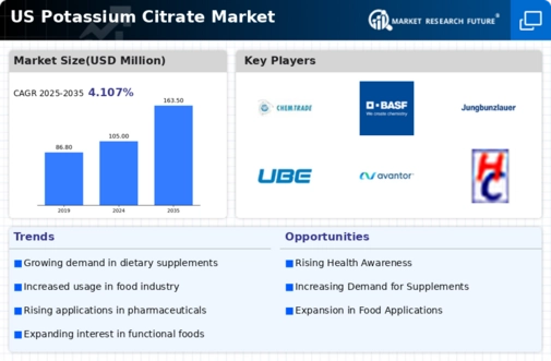 US Potassium Citrate Market Infographic