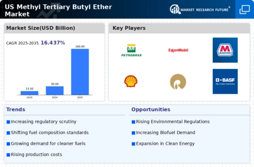US Methyl Tertiary Butyl Ether Market Infographic