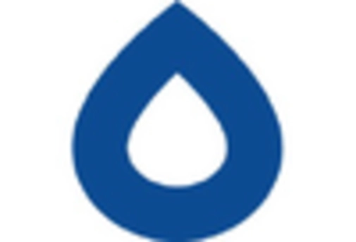 US Rubber Processing Chemicals Market key player