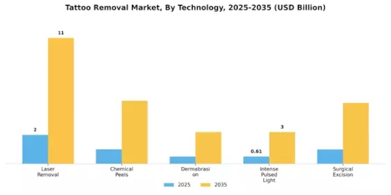 Tattoo Removal Market Segment Image 0