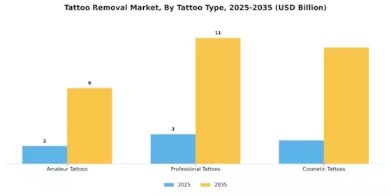 Tattoo Removal Market Segment Image 3