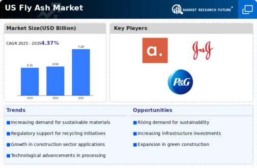 US Fly Ash Market Infographic