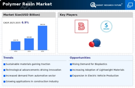 Polymer Resin Market Infographic