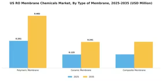 US RO Membrane Chemicals Market Segment Image 4