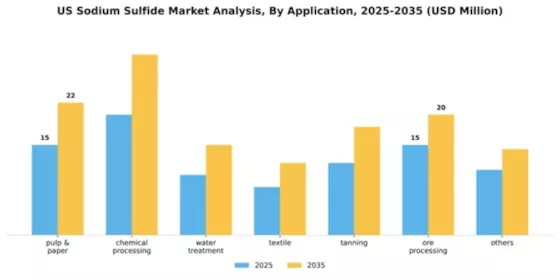 US Sodium Sulfide Market Segment Image 0