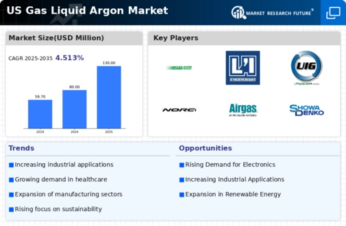 US Gas Liquid Argon Market Infographic