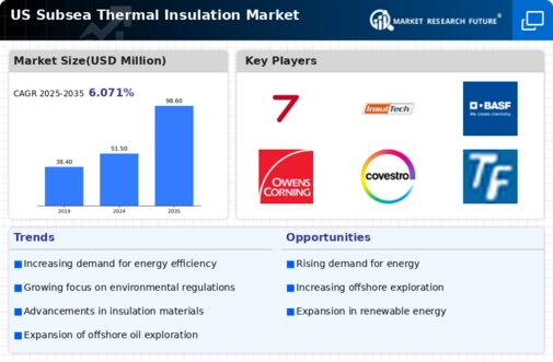 US Subsea Thermal Insulation Market Infographic