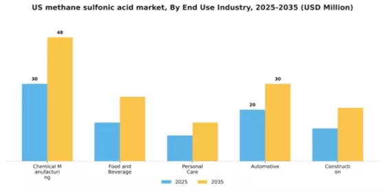 US Methane Sulfonic Acid Market Segment Image 2