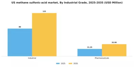 US Methane Sulfonic Acid Market Segment Image 1