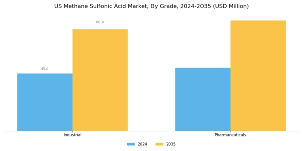 US Methane Sulfonic Acid Market Segment Image 0