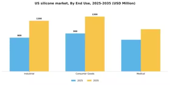 US Silicone Market Segment Image 1