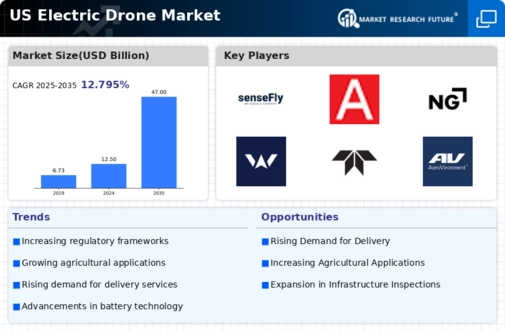 US Electric Drone Market Infographic