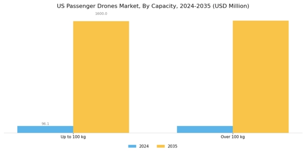 US Passenger Drones Market Segment Image 0