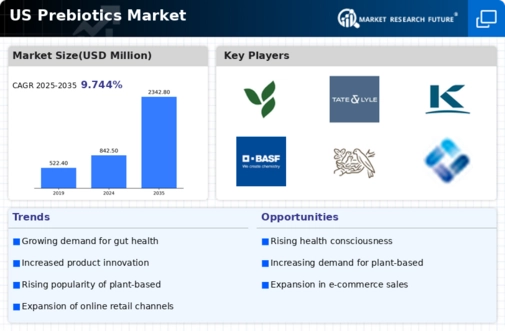 US Prebiotics Market Infographic