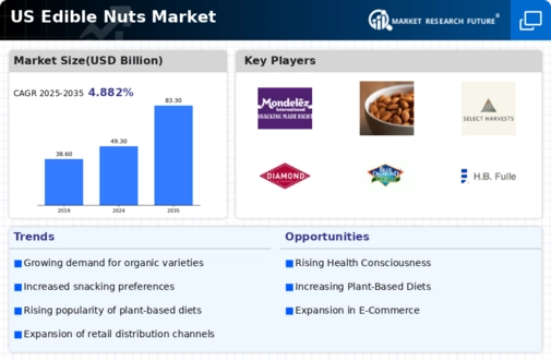 US Edible Nuts Market Infographic