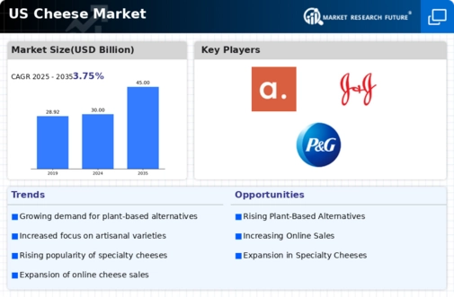 US Cheese Market Infographic