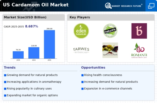US Cardamom Oil Market Infographic