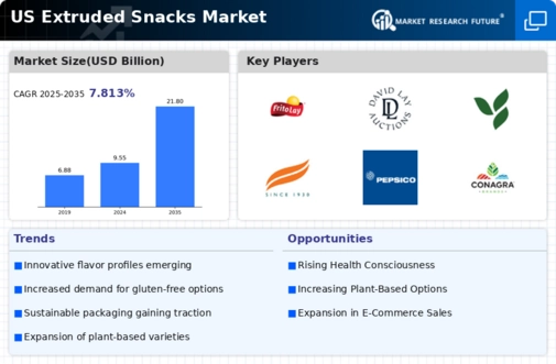 US Extruded Snacks Market Infographic