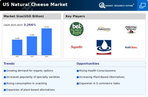 US Natural Cheese Market Infographic
