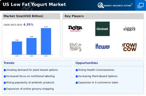 US Low Fat Yogurt Market Infographic