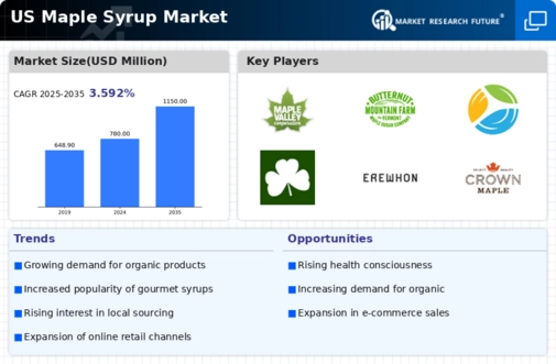 US Maple Syrup Market Infographic
