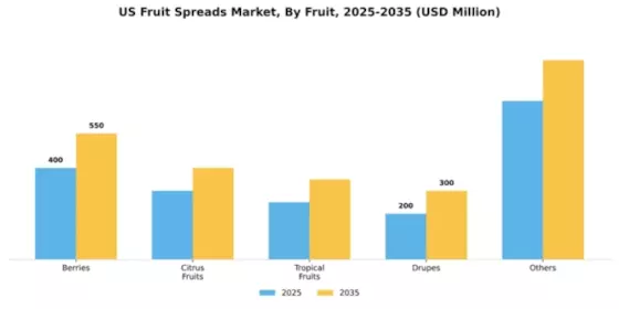 US Fruit Spreads Market Segment Image 1