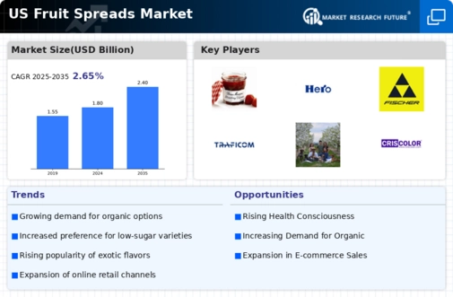 US Fruit Spreads Market Infographic