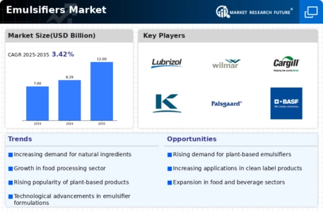 Emulsifiers Market Infographic