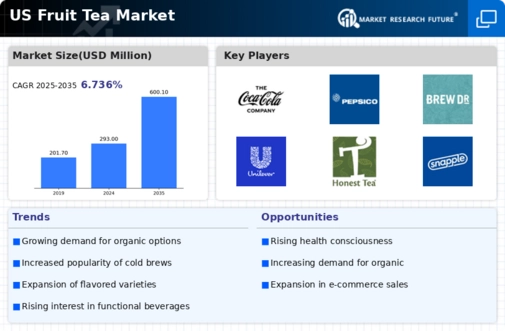 US Fruit Tea Market Infographic