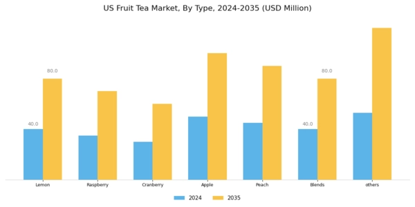 US Fruit Tea Market Segment Image 0