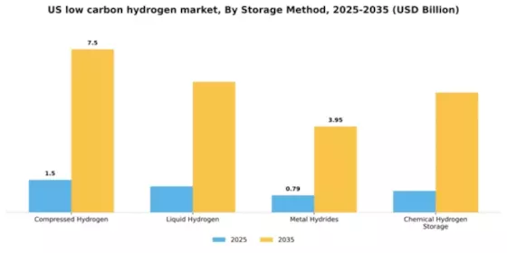 US low carbon hydrogen market Segment Image 4