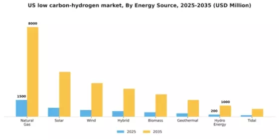US low carbon hydrogen market Segment Image 1