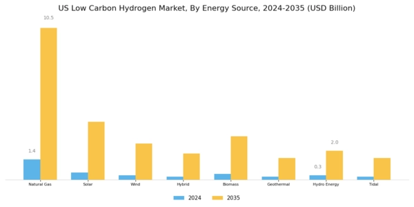US low carbon hydrogen market Segment Image 1