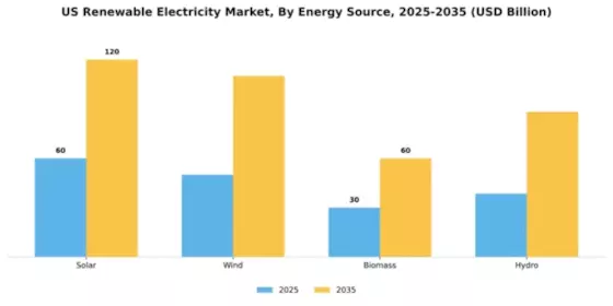 US Renewable Electricity Market Segment Image 2