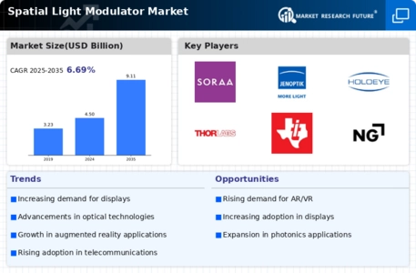 Spatial Light Modulator Market Infographic