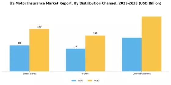 US Motor Insurance Market Segment Image 2