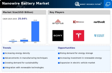 Nanowire Battery Market Infographic