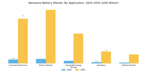 Nanowire Battery Market Segment Image 0