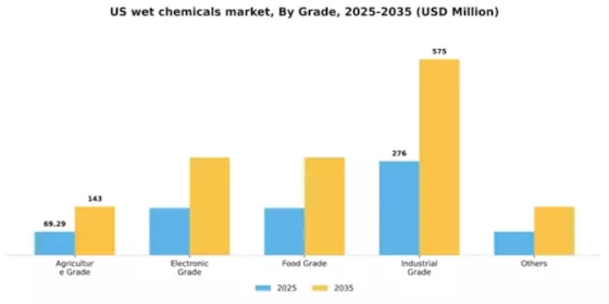 US Wet Chemicals Market Segment Image 3