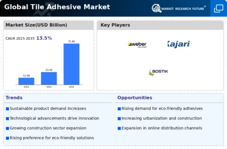 Tile Adhesive Market Infographic