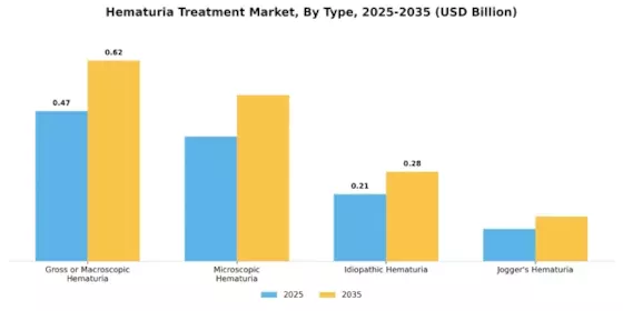 Hematuria Treatment Market Segment Image 3