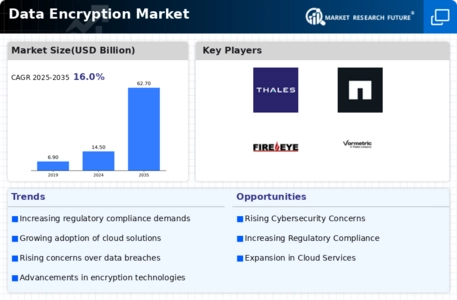 Data Encryption Market Infographic