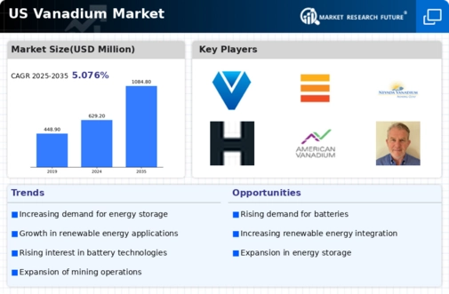 US Vanadium Market Infographic