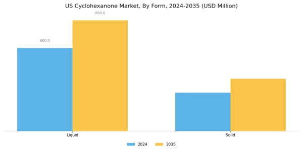 US Cyclohexanone Market Segment Image 2