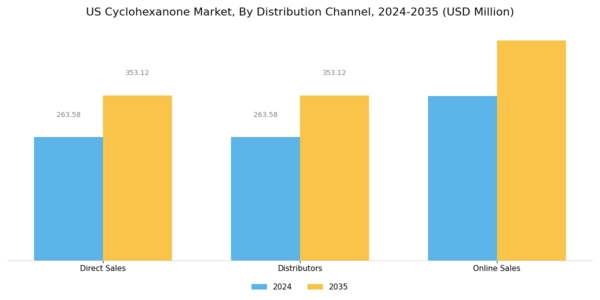 US Cyclohexanone Market Segment Image 3