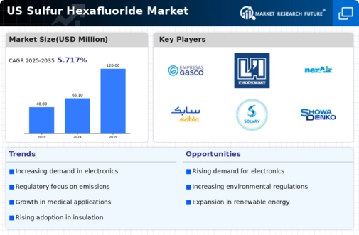 US Sulfur Hexafluoride Market Infographic