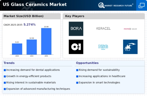 US Glass Ceramics Market Infographic