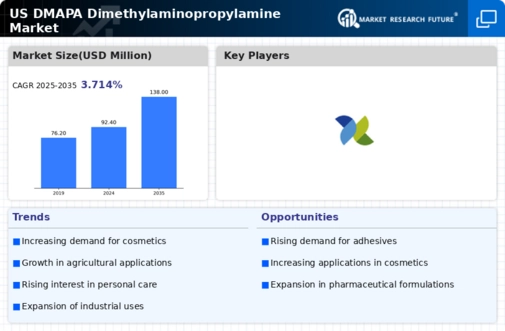 US DMAPA Dimethylaminopropylamine Market Infographic