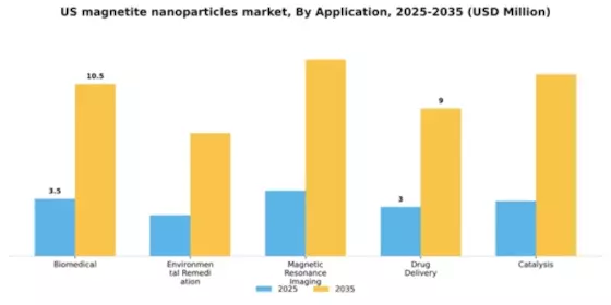 US Magnetite Nanoparticles Market Segment Image 0