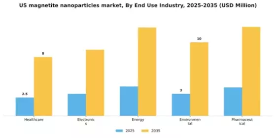 US Magnetite Nanoparticles Market Segment Image 1